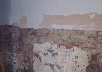 Gallery 7