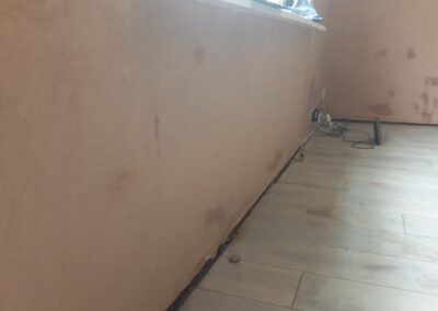 Gallery 8